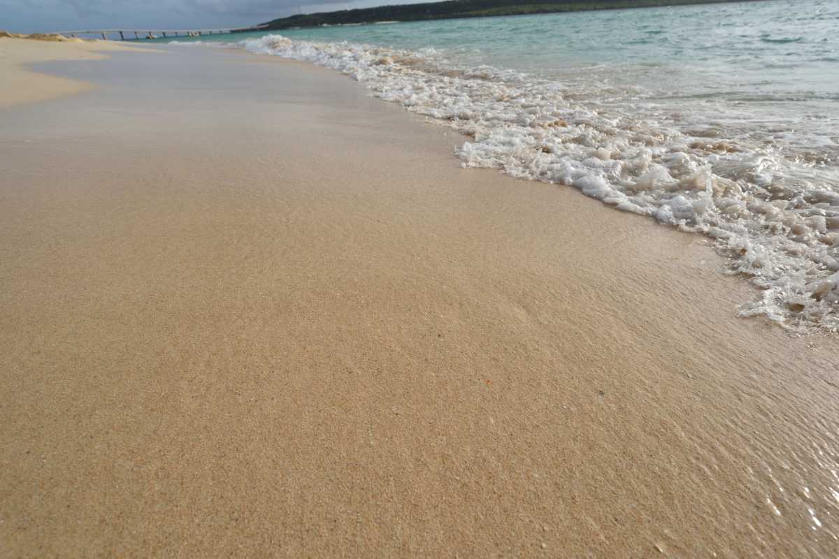 Sentiero naturalistico nel Parco Botanico del Monte Poro, con escursionisti che ammirano il panorama su Capovaticano e il mare all'orizzonte. Vegetazione tipica mediterranea.